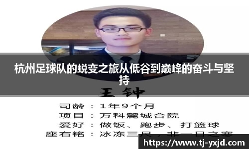 mk体育官网入口