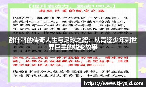 谢什科的传奇人生与足球之路：从青涩少年到世界巨星的蜕变故事